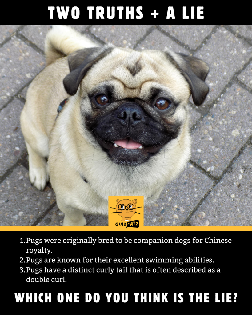 Let’s Play Two Truths and a Lie about Pugs!